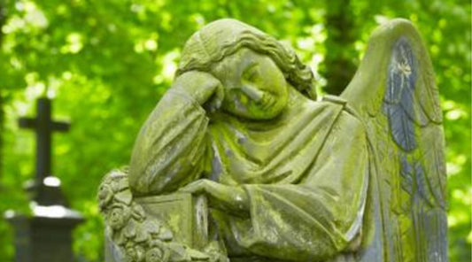 For Catholics with Depression: Bible Verses that Inspire Healing-Catholically