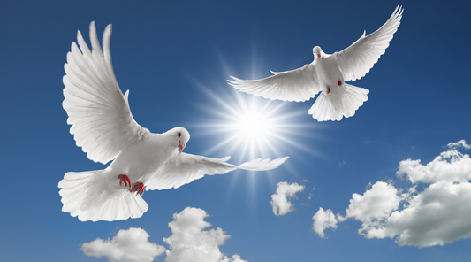 How to Apply the 7 Gifts of the Holy Spirit in Your Life-Catholically