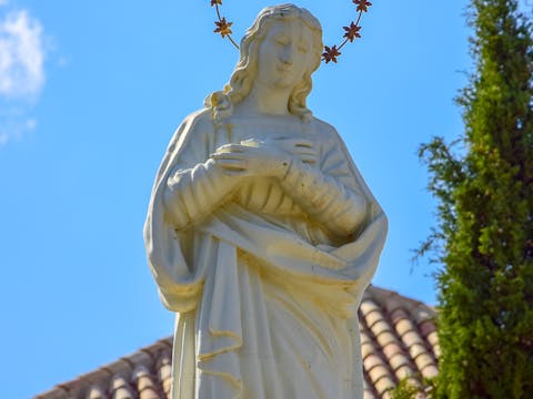 St. Francis of Assisi vs. St. Thérèse of Lisieux: Two Paths to Holiness Compared — Catholically