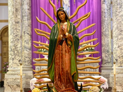 Young Saints: Inspiring Stories of Holy Children and Teenagers — Catholically
