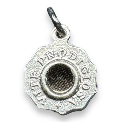 St Rita Miraculous Vine Relic Medal – Silver tone pendant with Reliquary | Catholically