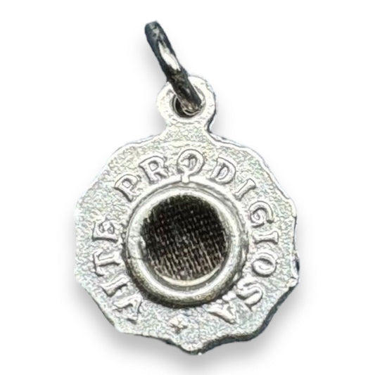 St Rita Miraculous Vine Relic Medal – Silver tone pendant with Reliquary | Catholically