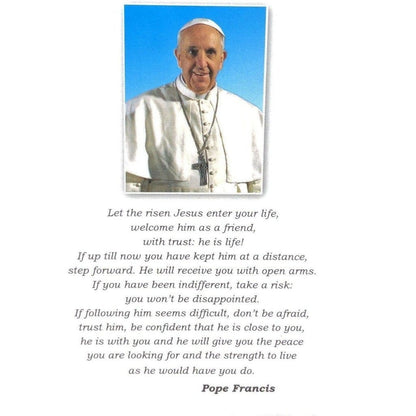 Pope Francis Car Magnet  Blue Enamel   Blessed By Pope | Catholically